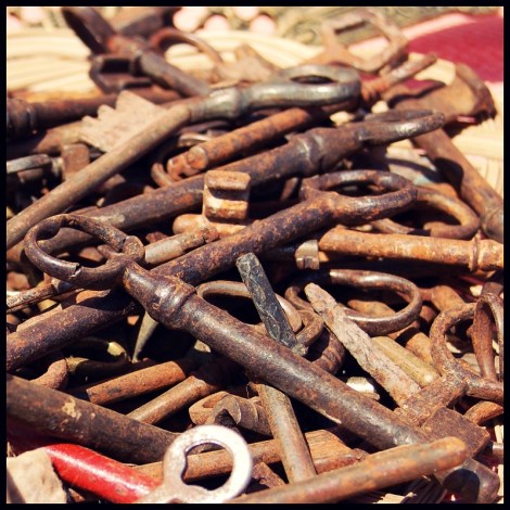 viendo-fotos-con-amelia