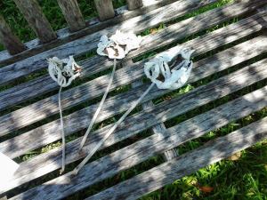 15696677_10211703939339808_1238450486_o