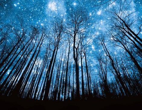 estrellas2