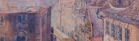 asanace platnerske muller